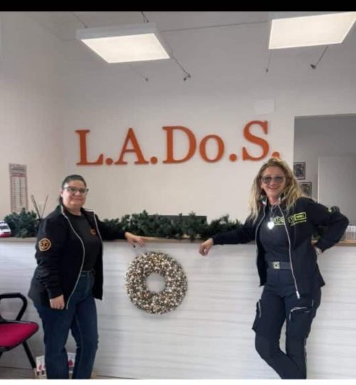 15034bbd-b543-4c84-8837-f27767516607